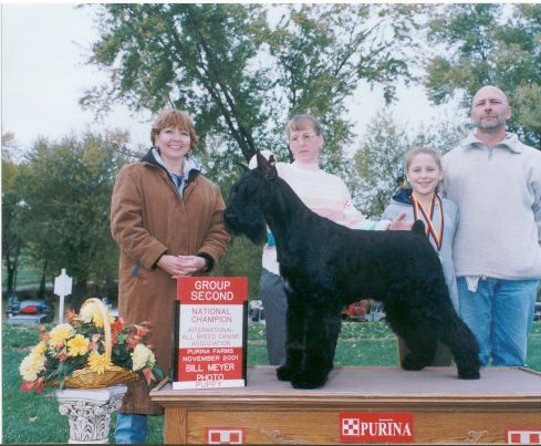 Giant Schnauzer - Bridgette