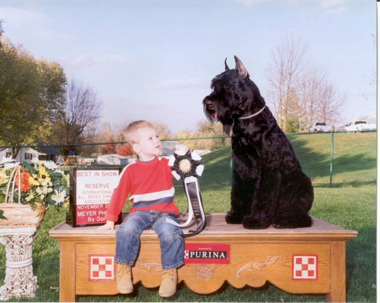 Lucas and Hunter at the Giant Schnauzer show